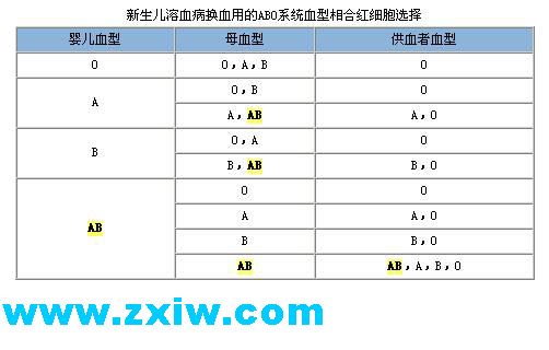 输血前免疫血液学检查验血型配血抗体等